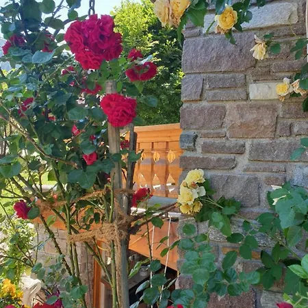 Graukogel Blick Апартаменти