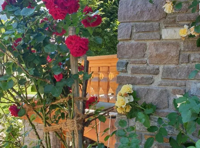 Graukogel Blick Διαμέρισμα